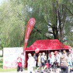 Liput – näidispilt