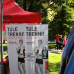 Roll Upit – näidispilt
