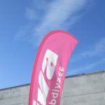 Liput – näidispilt