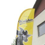 Liput – näidispilt