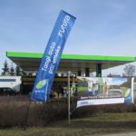 Liput – näidispilt